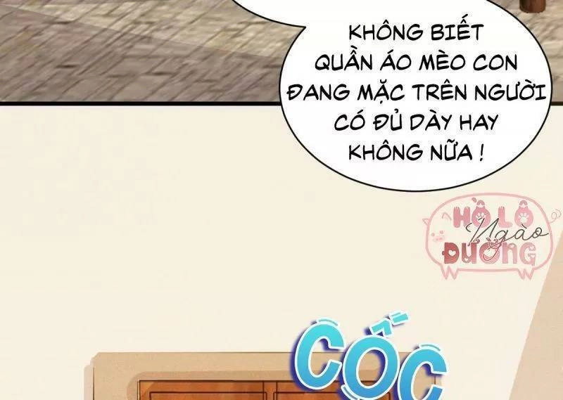 Sát Thủ Vương Phi Không Dễ Chọc Chapter 49 - 46