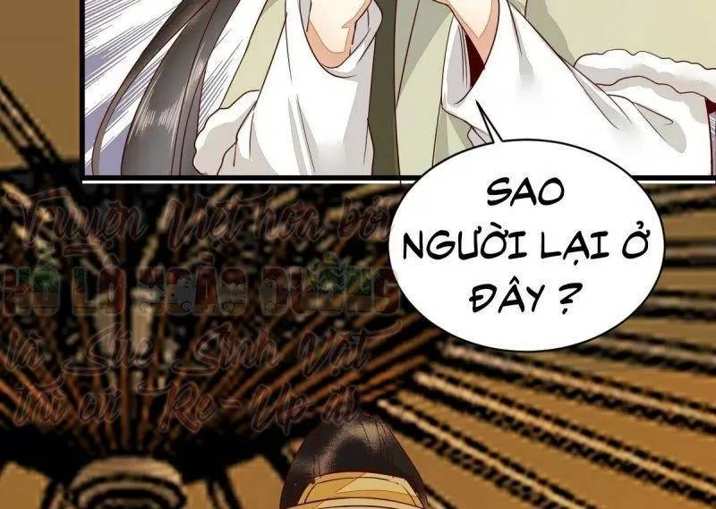 Sát Thủ Vương Phi Không Dễ Chọc Chapter 49 - 56