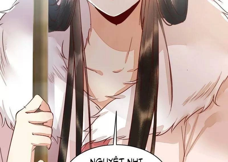 Sát Thủ Vương Phi Không Dễ Chọc Chapter 49 - 58