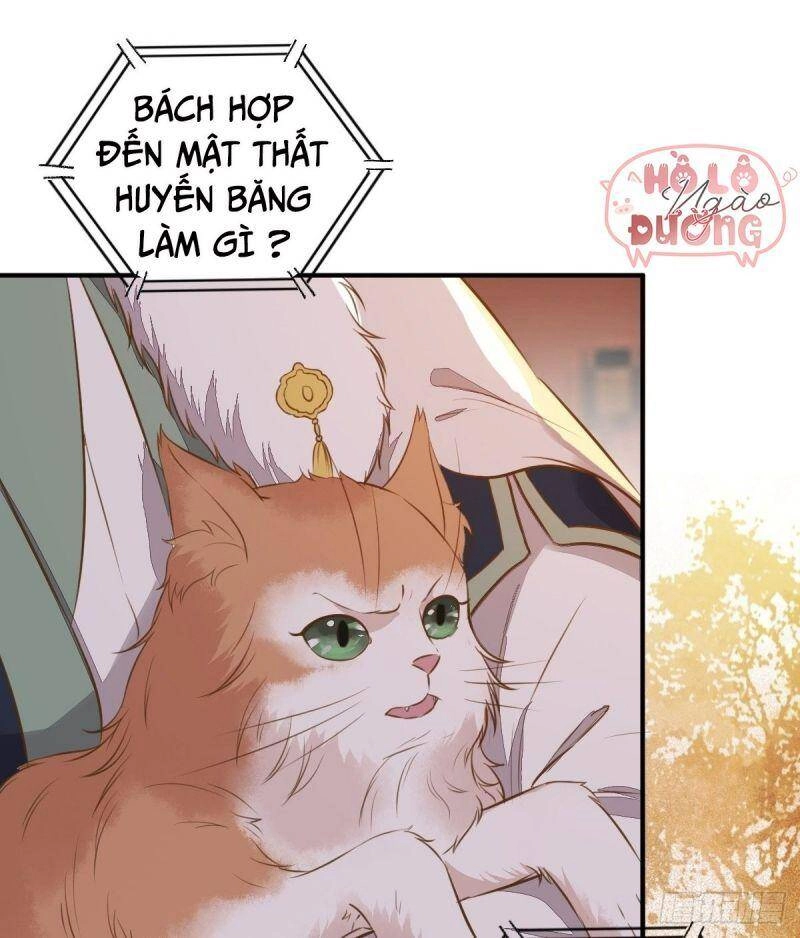 Sát Thủ Vương Phi Không Dễ Chọc Chapter 50 - 45