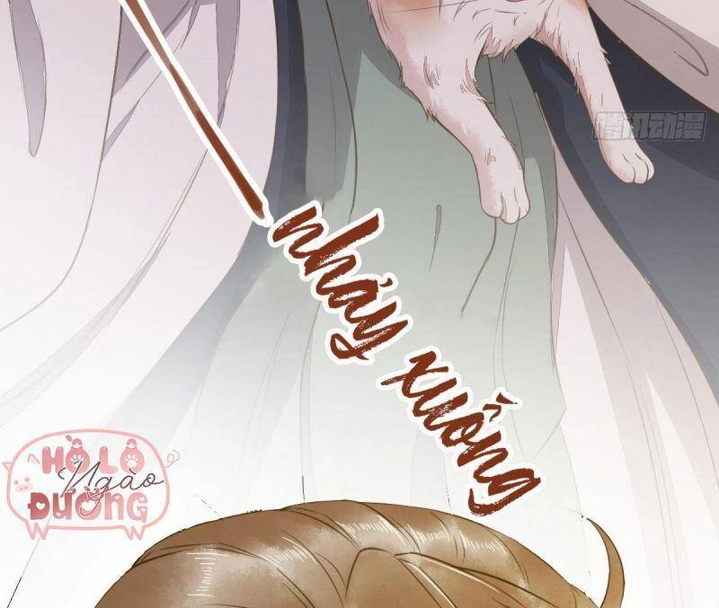 Sát Thủ Vương Phi Không Dễ Chọc Chapter 50 - 53