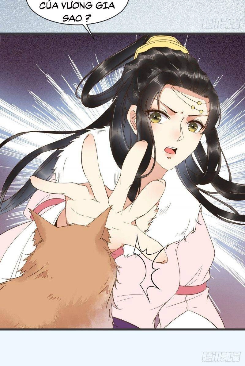 Sát Thủ Vương Phi Không Dễ Chọc Chapter 51 - 36