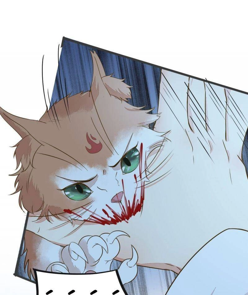 Sát Thủ Vương Phi Không Dễ Chọc Chapter 51 - 37