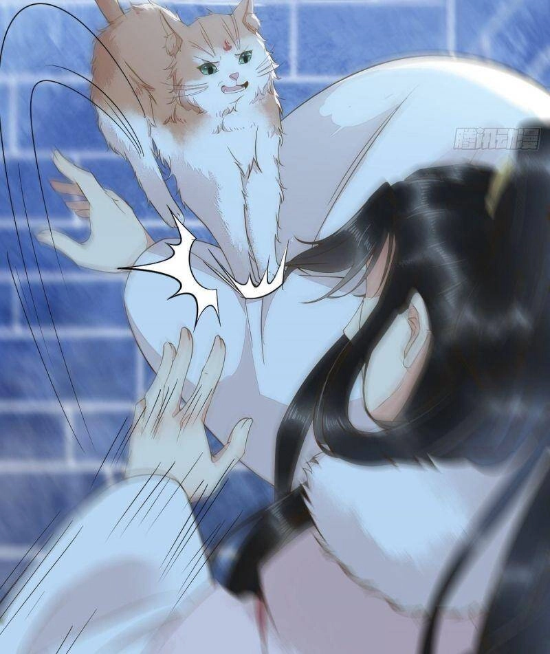 Sát Thủ Vương Phi Không Dễ Chọc Chapter 51 - 39