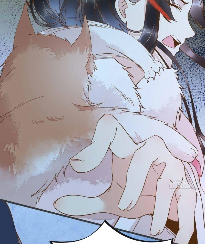 Sát Thủ Vương Phi Không Dễ Chọc Chapter 51 - 41