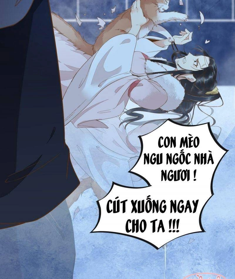 Sát Thủ Vương Phi Không Dễ Chọc Chapter 51 - 43