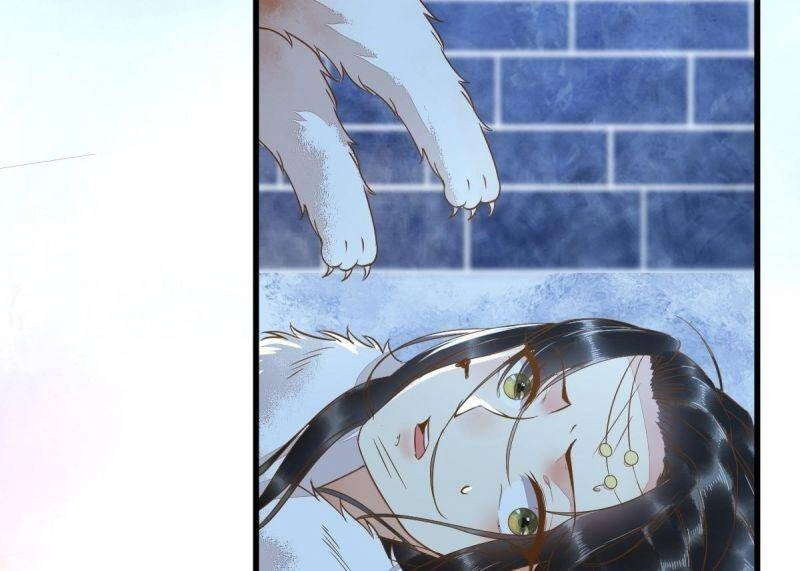 Sát Thủ Vương Phi Không Dễ Chọc Chapter 51 - 49