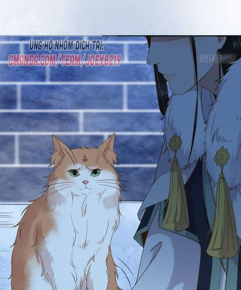 Sát Thủ Vương Phi Không Dễ Chọc Chapter 52 - 43