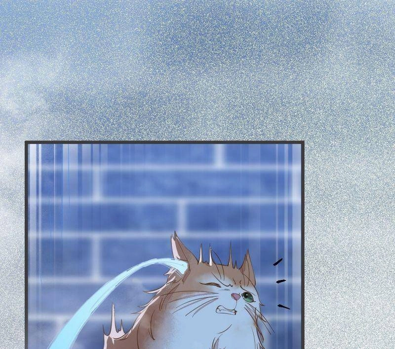 Sát Thủ Vương Phi Không Dễ Chọc Chapter 52 - 46