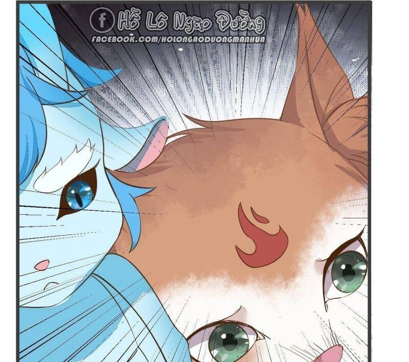 Sát Thủ Vương Phi Không Dễ Chọc Chapter 52 - 51