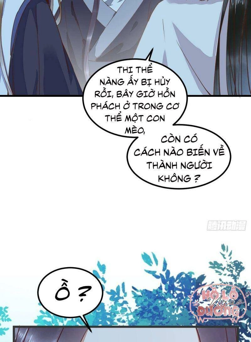 Sát Thủ Vương Phi Không Dễ Chọc Chapter 54 - 11