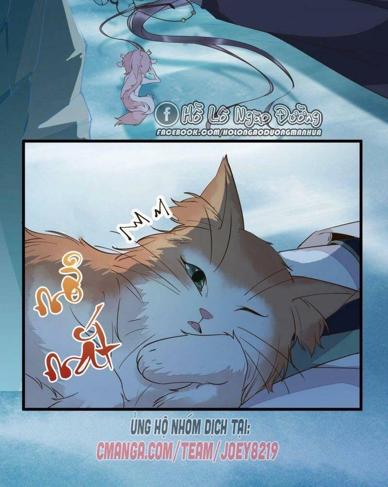 Sát Thủ Vương Phi Không Dễ Chọc Chapter 55 - 19