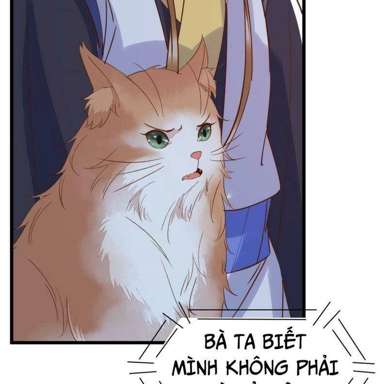 Sát Thủ Vương Phi Không Dễ Chọc Chapter 55 - 55