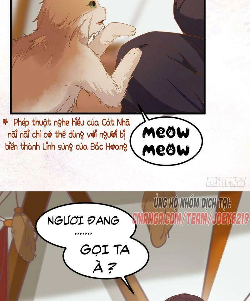 Sát Thủ Vương Phi Không Dễ Chọc Chapter 56 - 25