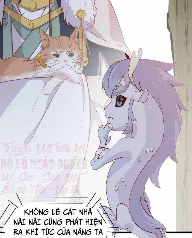 Sát Thủ Vương Phi Không Dễ Chọc Chapter 58 - 17