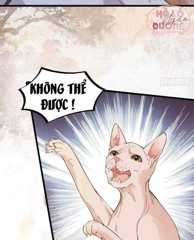 Sát Thủ Vương Phi Không Dễ Chọc Chapter 58 - 22