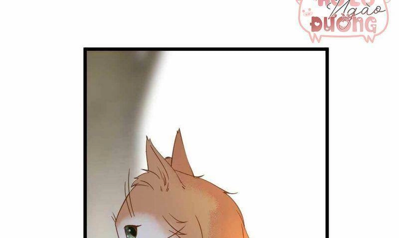 Sát Thủ Vương Phi Không Dễ Chọc Chapter 58 - 52