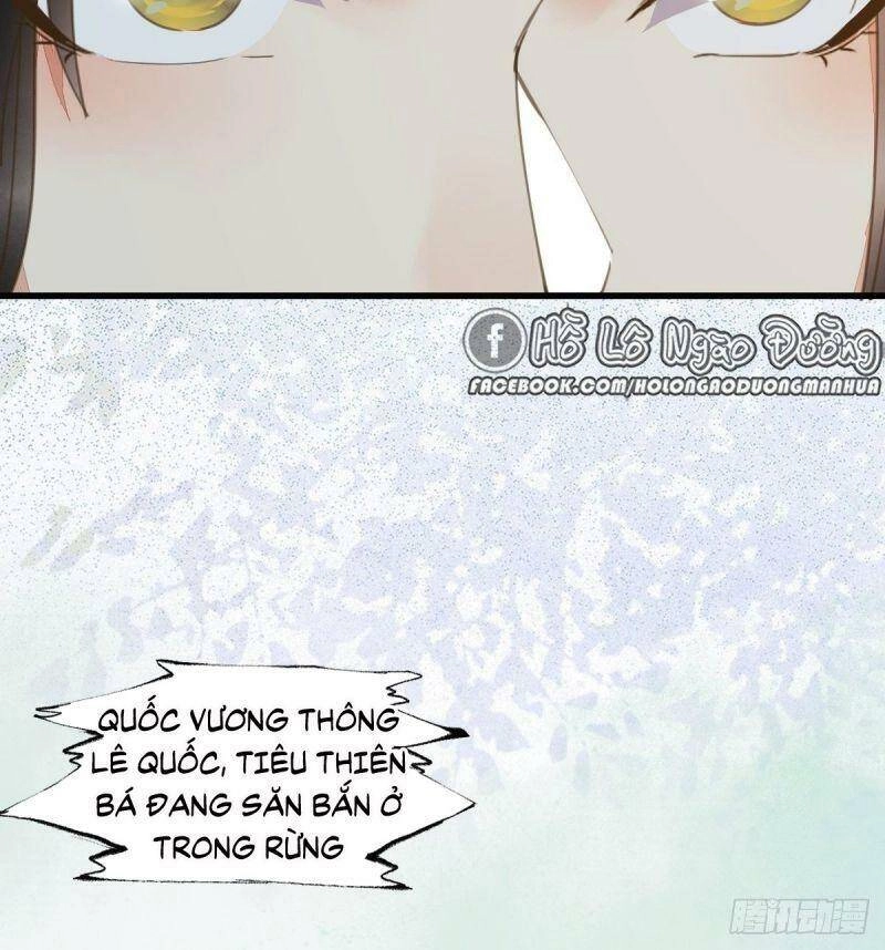 Sát Thủ Vương Phi Không Dễ Chọc Chapter 61 - 45