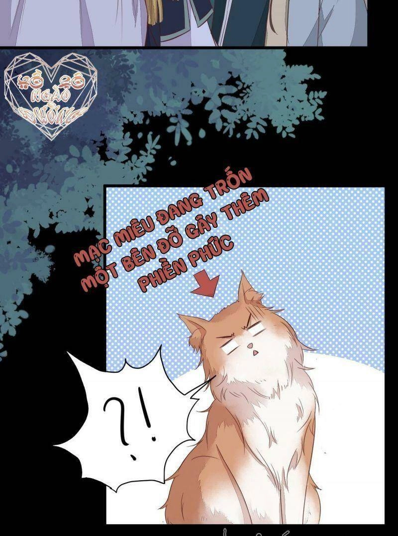 Sát Thủ Vương Phi Không Dễ Chọc Chapter 63 - 8