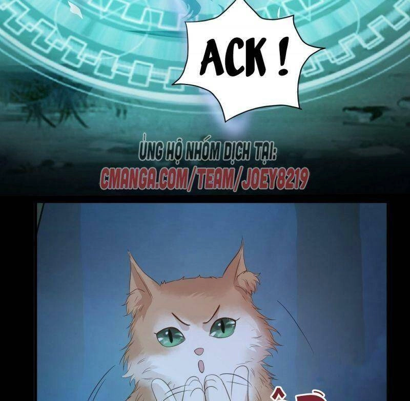 Sát Thủ Vương Phi Không Dễ Chọc Chapter 63 - 19