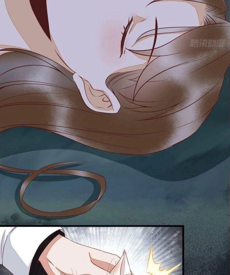 Sát Thủ Vương Phi Không Dễ Chọc Chapter 63 - 43