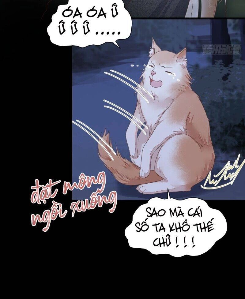 Sát Thủ Vương Phi Không Dễ Chọc Chapter 64 - 9