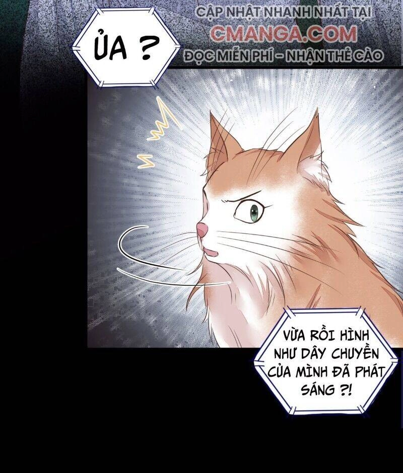 Sát Thủ Vương Phi Không Dễ Chọc Chapter 64 - 23