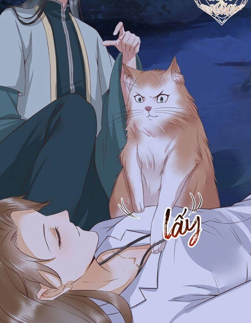 Sát Thủ Vương Phi Không Dễ Chọc Chapter 64 - 25