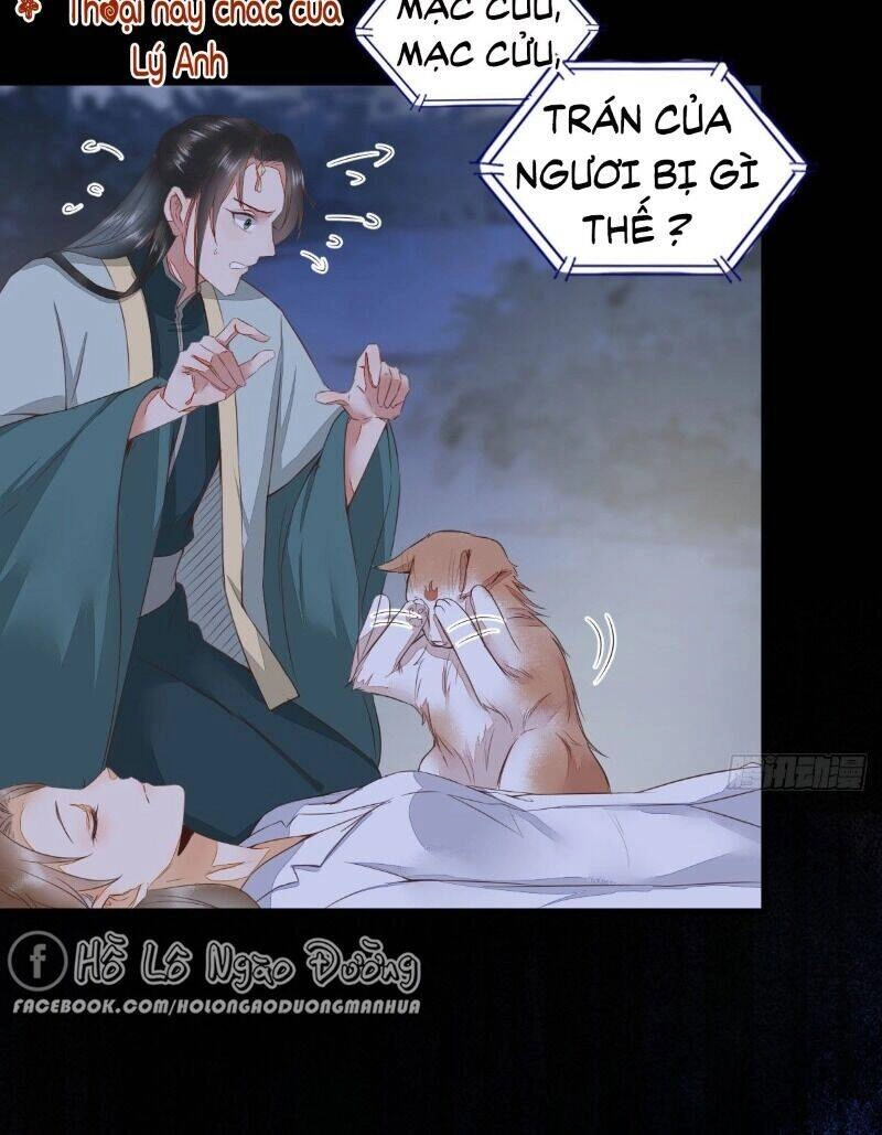 Sát Thủ Vương Phi Không Dễ Chọc Chapter 64 - 28