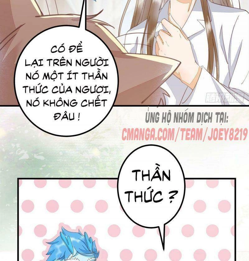 Sát Thủ Vương Phi Không Dễ Chọc Chapter 65 - 44