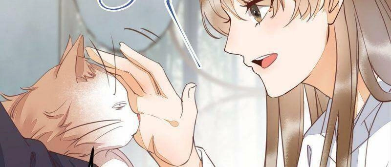 Sát Thủ Vương Phi Không Dễ Chọc Chapter 65 - 48