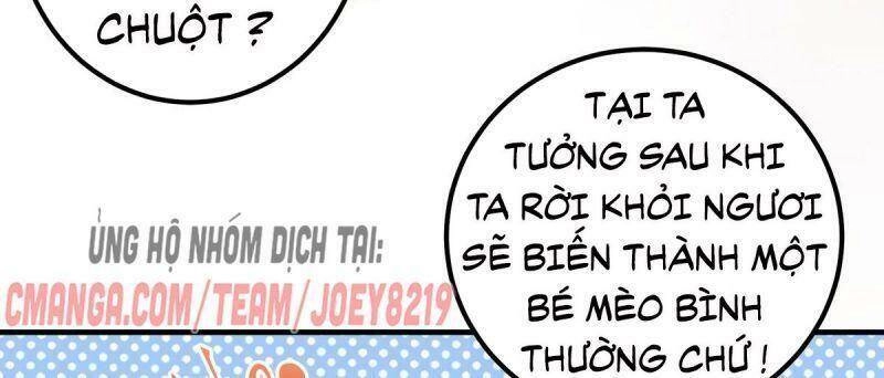 Sát Thủ Vương Phi Không Dễ Chọc Chapter 65 - 50