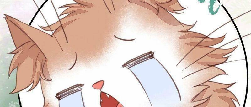 Sát Thủ Vương Phi Không Dễ Chọc Chapter 65 - 54