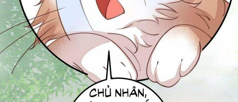 Sát Thủ Vương Phi Không Dễ Chọc Chapter 65 - 55