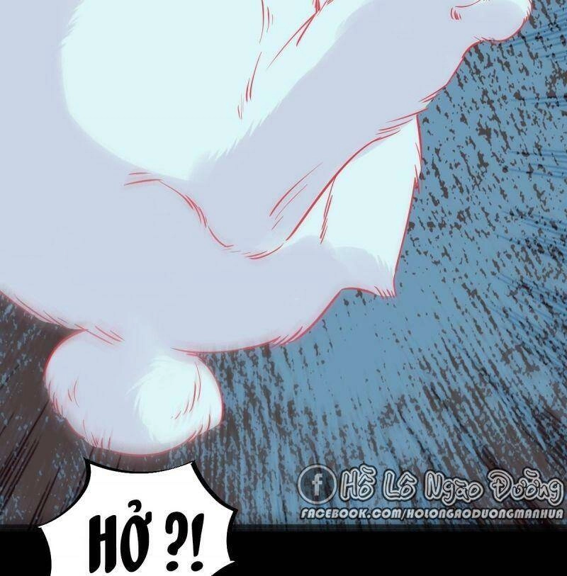 Sát Thủ Vương Phi Không Dễ Chọc Chapter 68 - 38