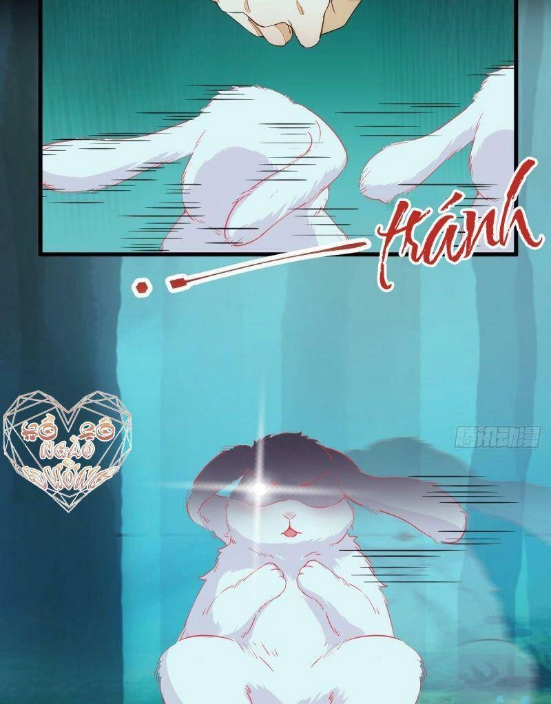 Sát Thủ Vương Phi Không Dễ Chọc Chapter 69 - 4