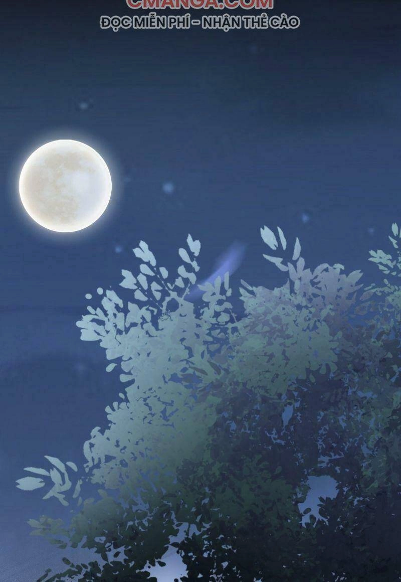 Sát Thủ Vương Phi Không Dễ Chọc Chapter 71 - 19