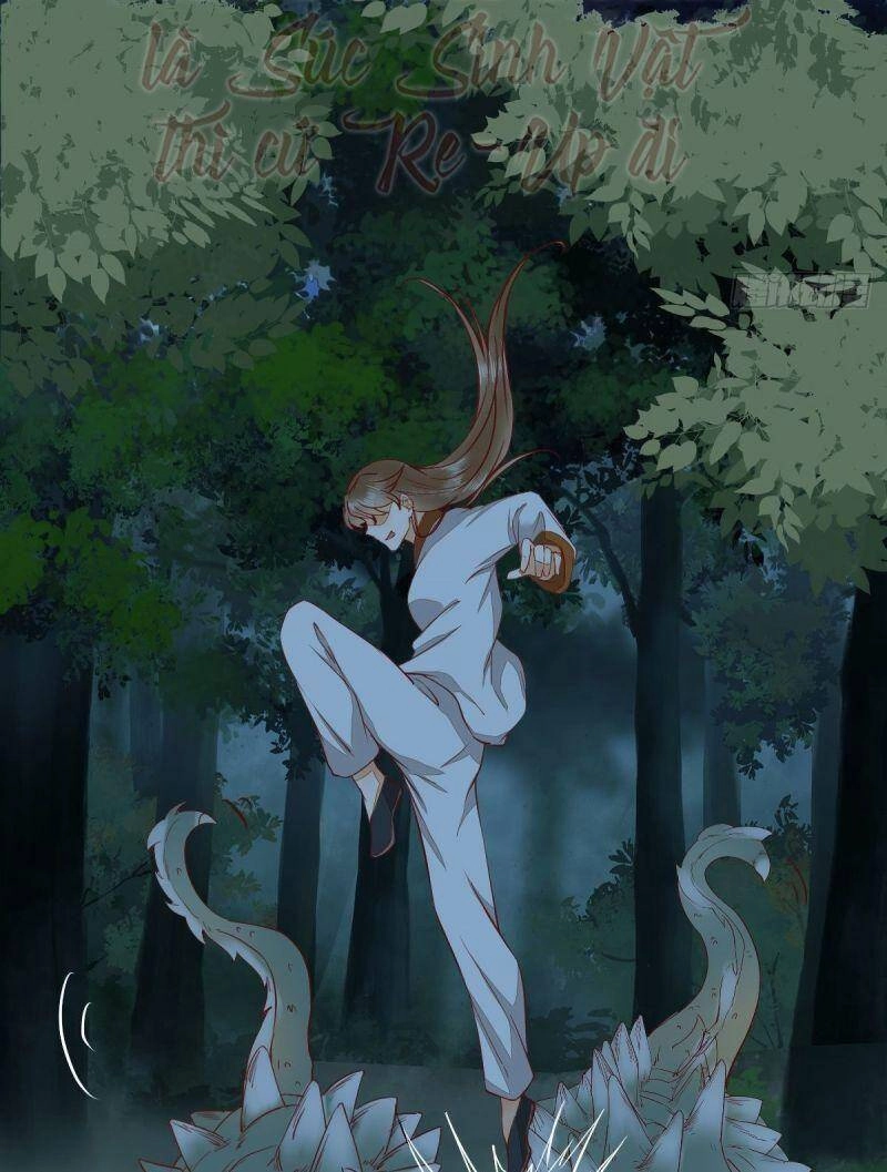 Sát Thủ Vương Phi Không Dễ Chọc Chapter 72 - 38