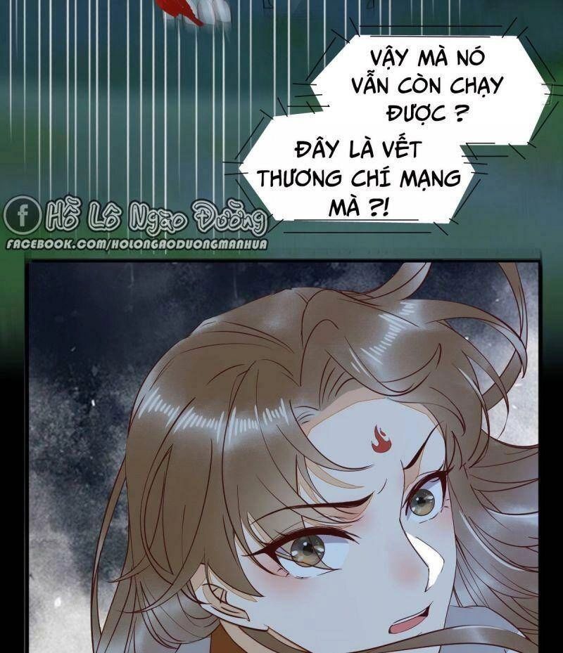 Sát Thủ Vương Phi Không Dễ Chọc Chapter 73 - 50