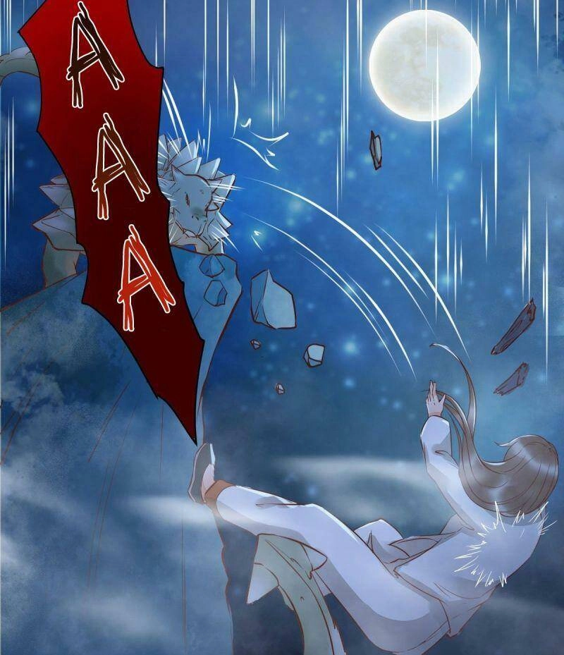 Sát Thủ Vương Phi Không Dễ Chọc Chapter 73 - 56