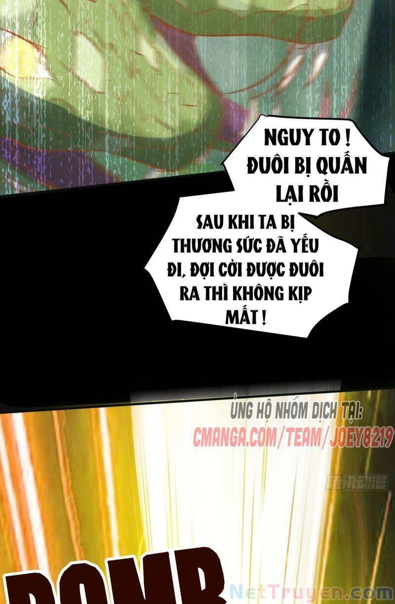 Sát Thủ Vương Phi Không Dễ Chọc Chapter 79 - 10