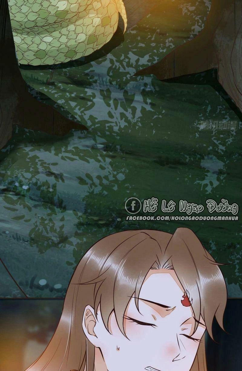 Sát Thủ Vương Phi Không Dễ Chọc Chapter 80 - 5