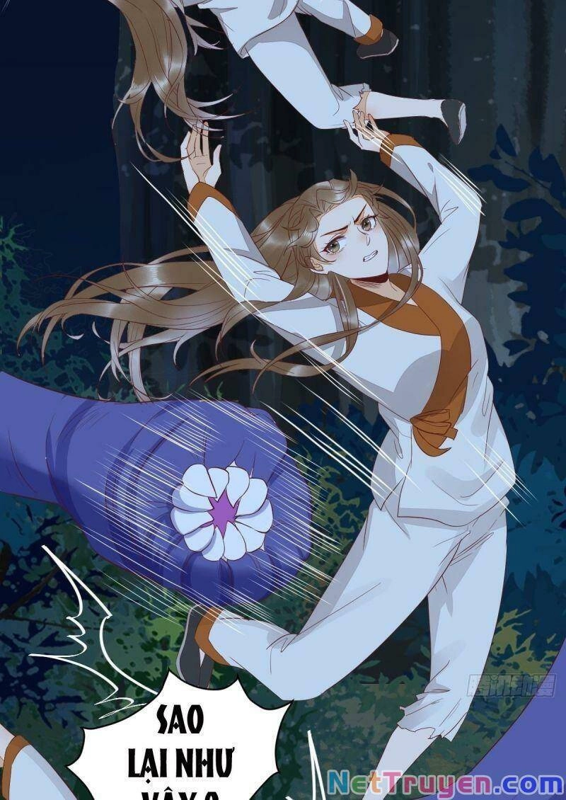 Sát Thủ Vương Phi Không Dễ Chọc Chapter 83 - 5