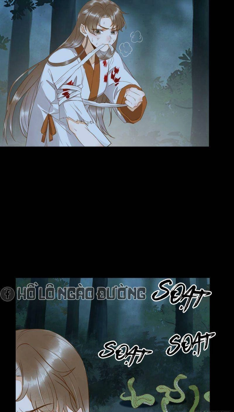 Sát Thủ Vương Phi Không Dễ Chọc Chapter 84 - 26