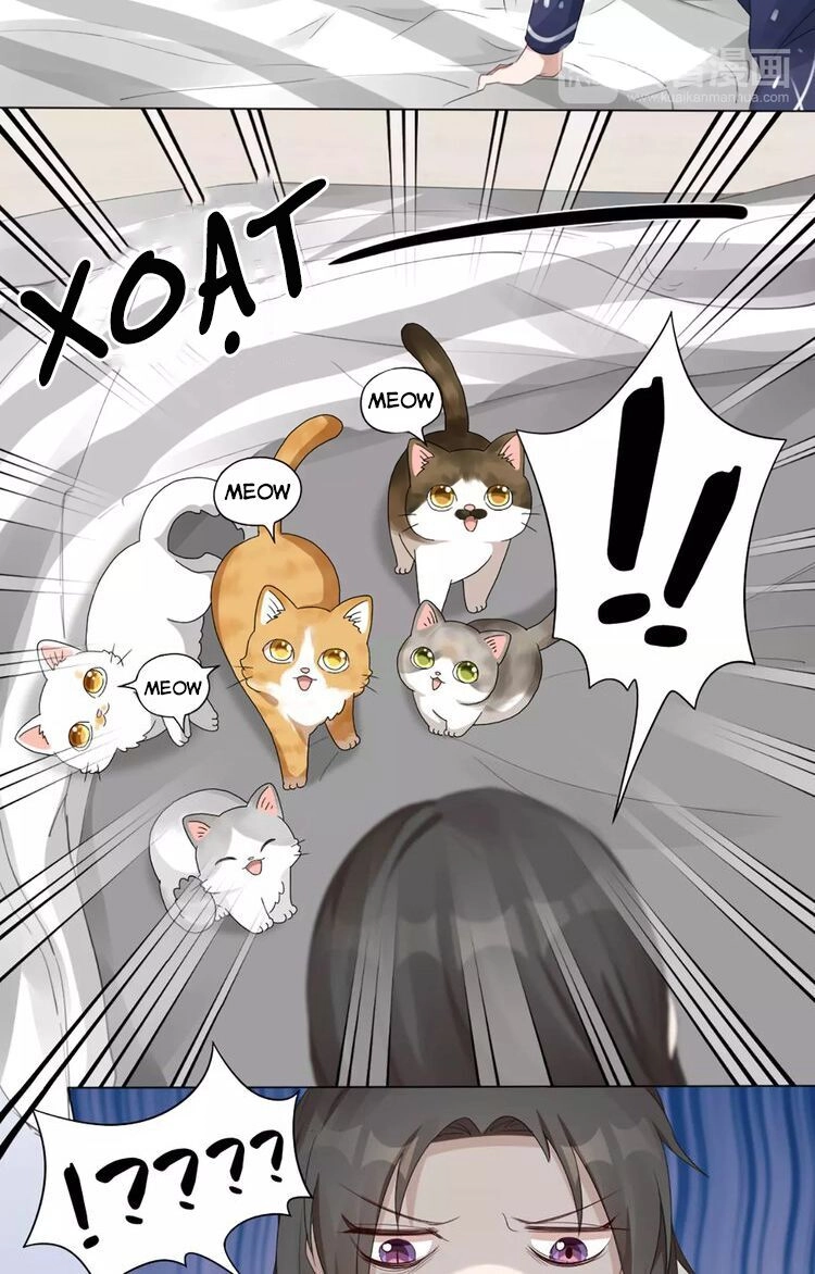 Bạn Trai Là Quái Vật Chapter 21 - 27