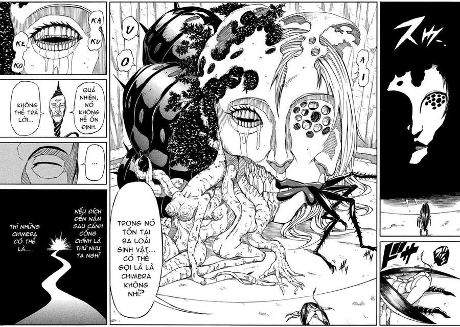 Thế Giới Hỗn Loạn Chapter 17 - 7