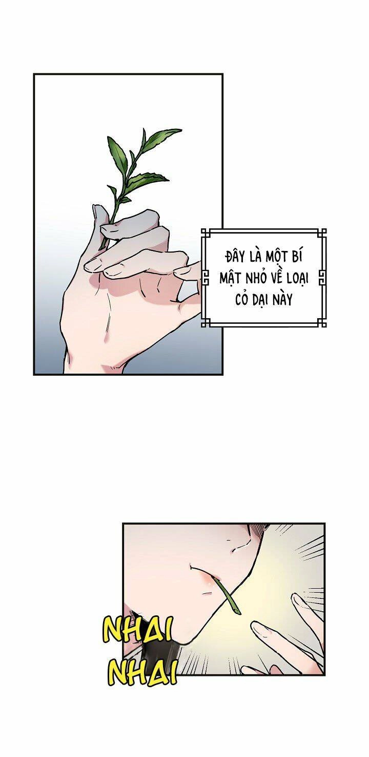 Tôi Trở Thành Nhân Vật Phản Diện Giỏi Nhất Trong Giới Võ Thuật Chapter 2 - 34