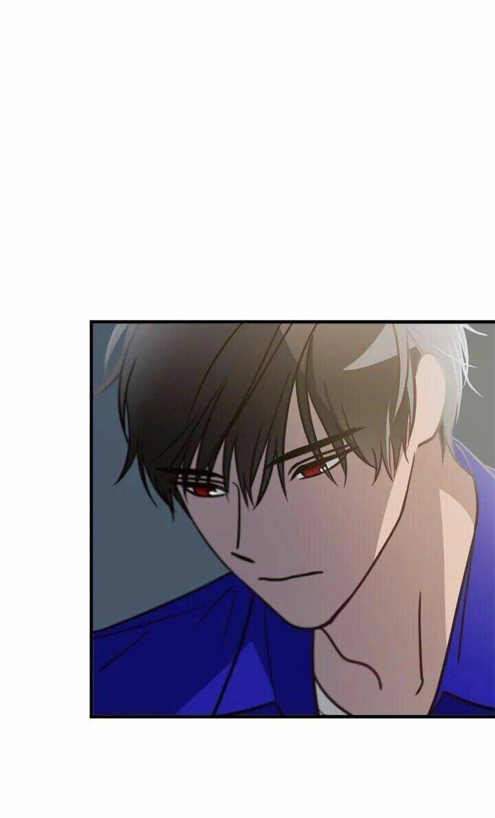 Tiếng Sói Trong Hiệu Thuốc Chapter 15 - 37