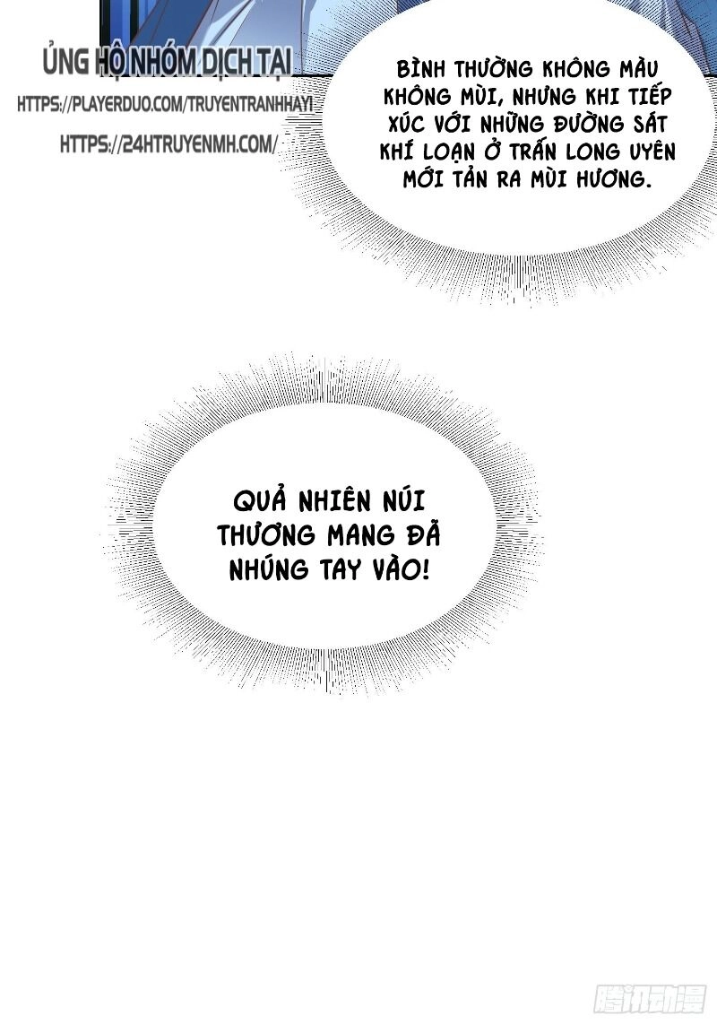 Đỉnh Cấp Phản Phái Đại Sư Huynh Chapter 31 - 29