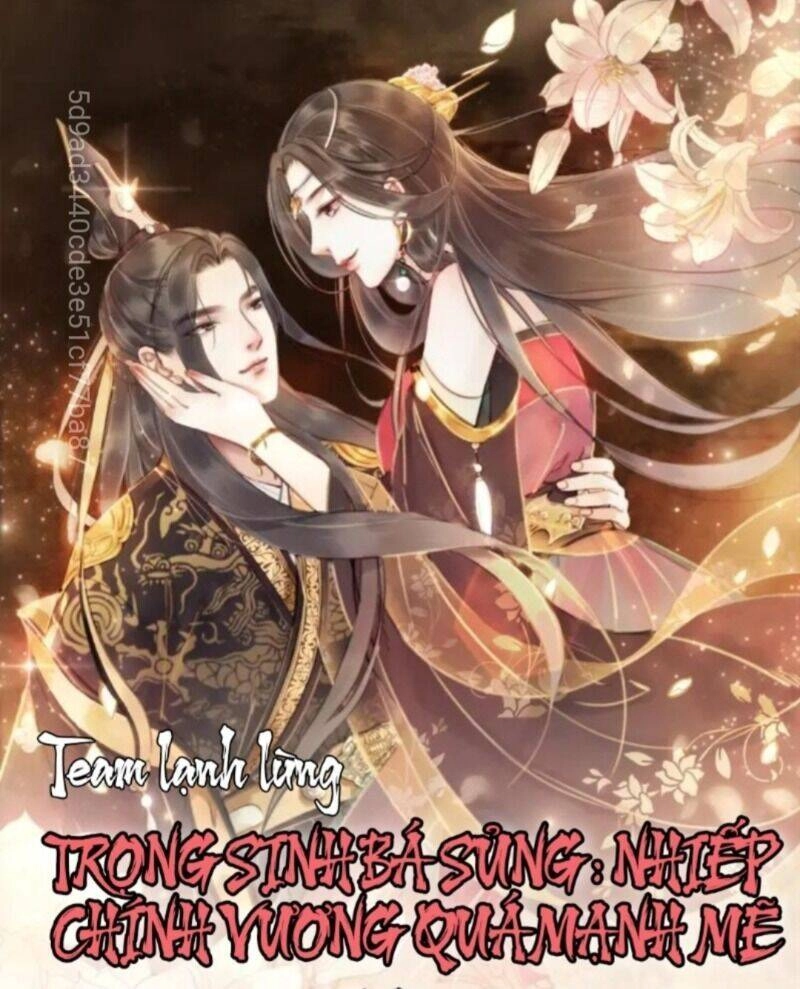 Trọng Sinh Bá Sủng Nhiếp Chính Vương Quá Mạnh Mẽ Chapter 65 - 1